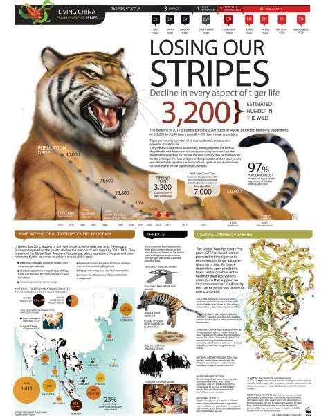 how many south china tigers are left 2021